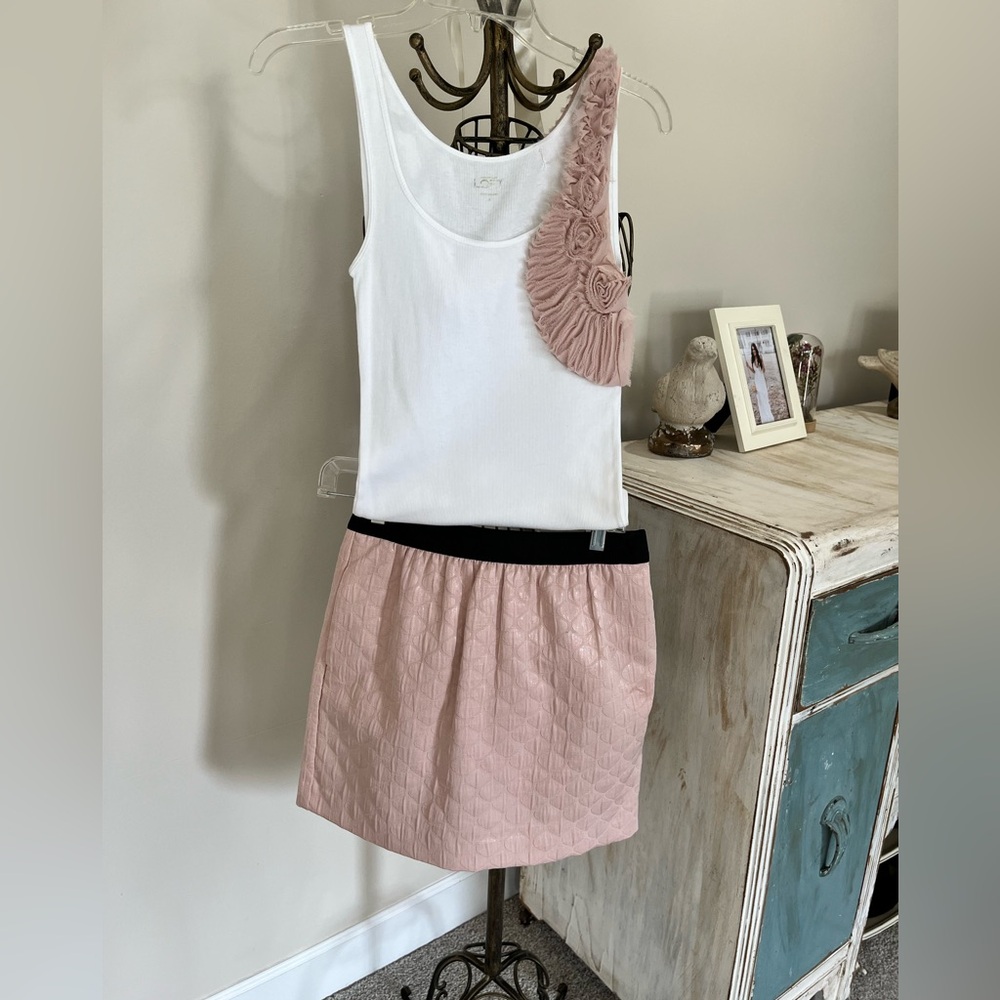 Ann Taylor Loft skirt set